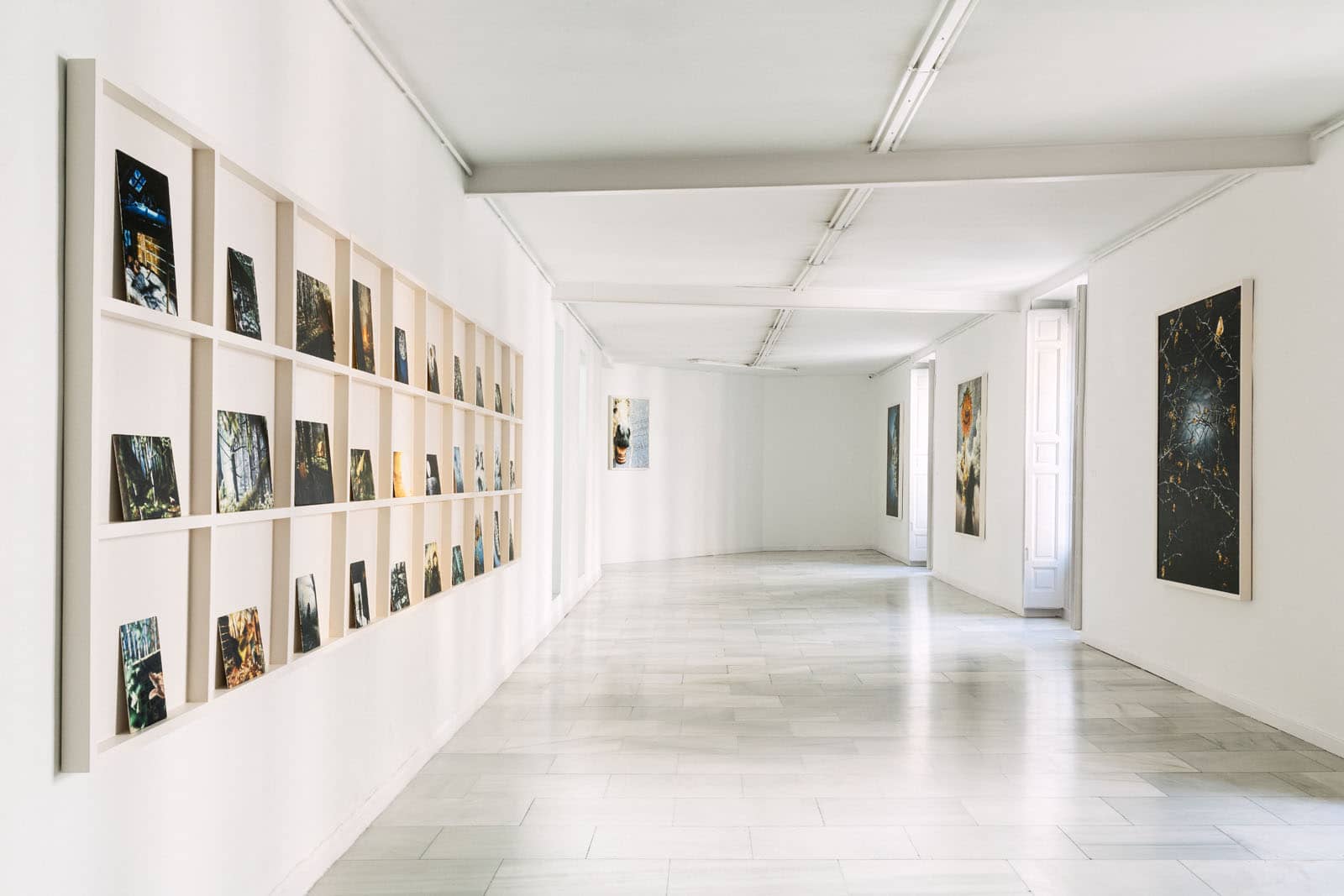 Exhibition view of the solo show "Falada" by Philipp Fröhlich at Juana de Aizpuru gallery in Spain, 2022. The image shows various oil paintings at the gallery space.