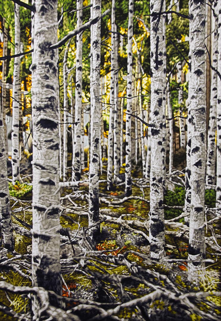 Pando a quaking aspen tree colony is shown on this tempera painting by Philipp Fröhlich. First shown at the solo exhibition "HOAP of a tree" at Juana de Aizpuru gallery in Madrid.
