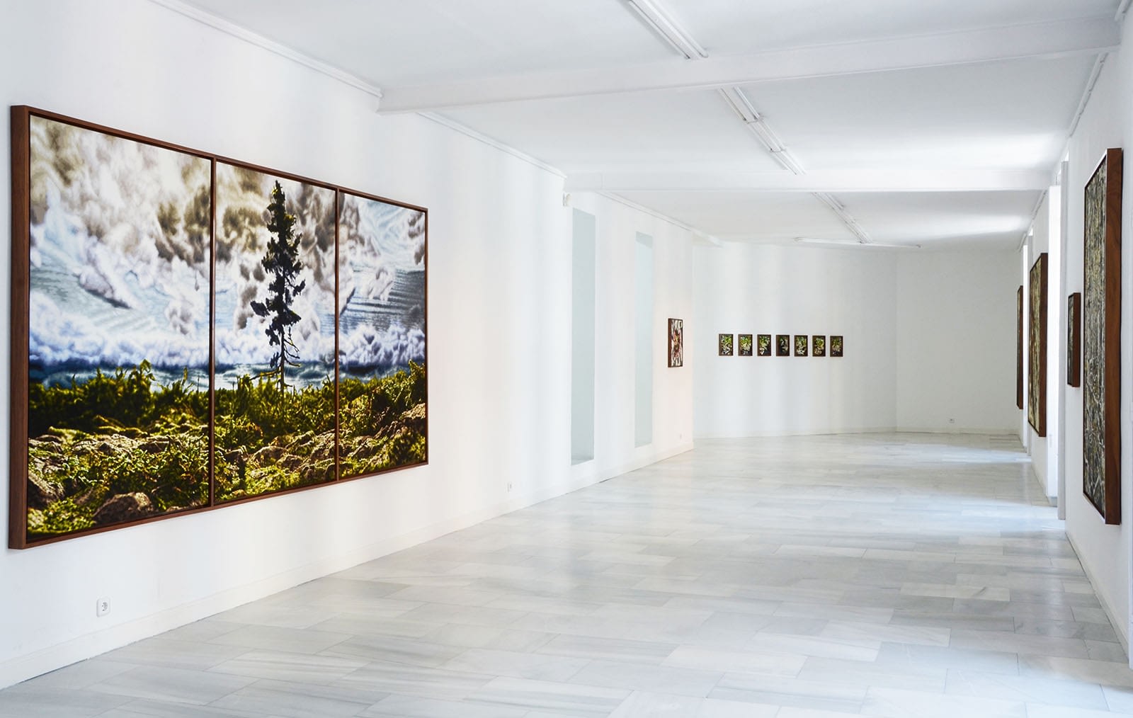 Philipp Fröhlich, Exhibition View, HOAP of a Tree, Galeria Juana de Aizpuru, 2015