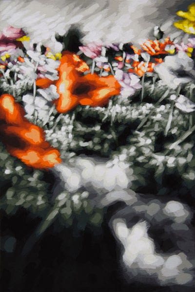 Philipp Fröhlich, Opium Poppies, Where All Things Are Forgot, 2016. tempera on paper, 28 x 18,5 cm, (215P)