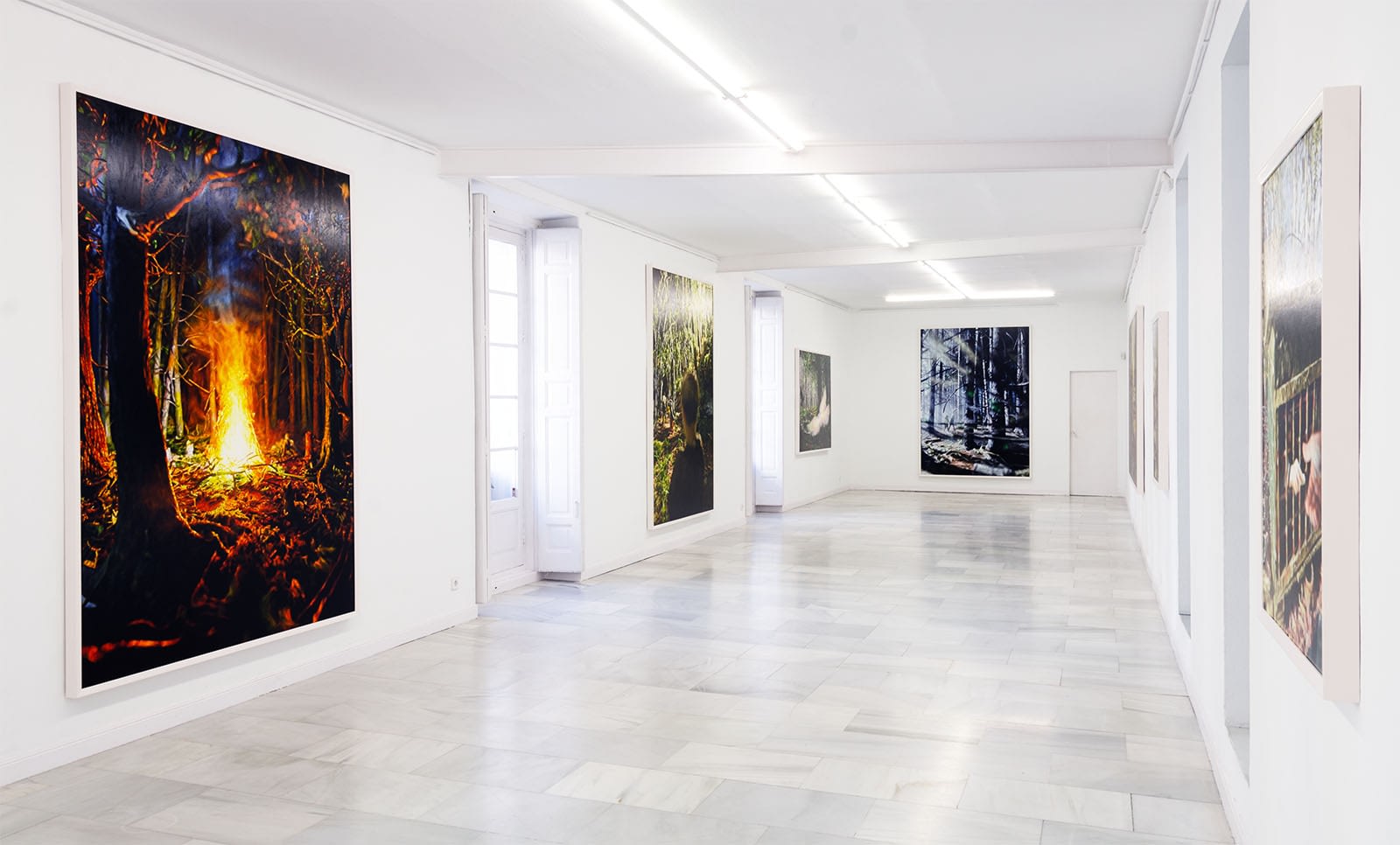 Philipp Fröhlich, Exhibition View, Hänsel und Gretel, Galeria Juana de Aizpuru, 2019