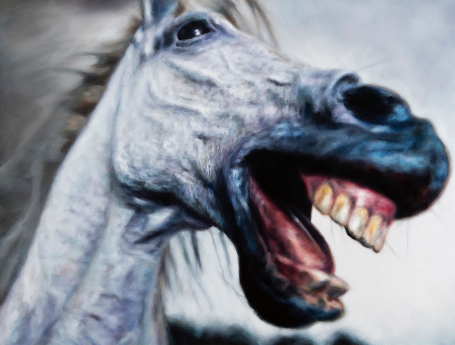 Philipp Fröhlich, Horse Head, 2021, oil on canvas, 145 x 110 cm, painting