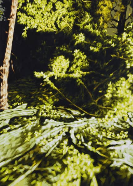 Philipp Fröhlich, (163P), 2012. tempera on paper, 70 x 50 cm