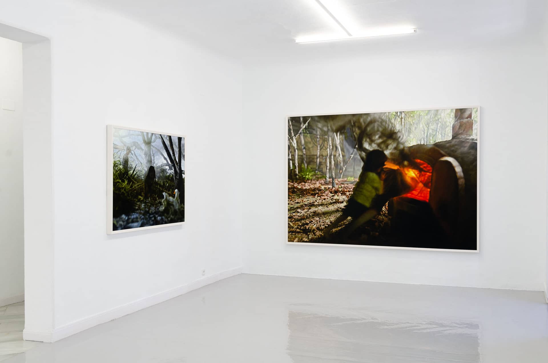 Philipp Fröhlich, Exhibition View, Hänsel und Gretel, Galeria Juana de Aizpuru, 2019